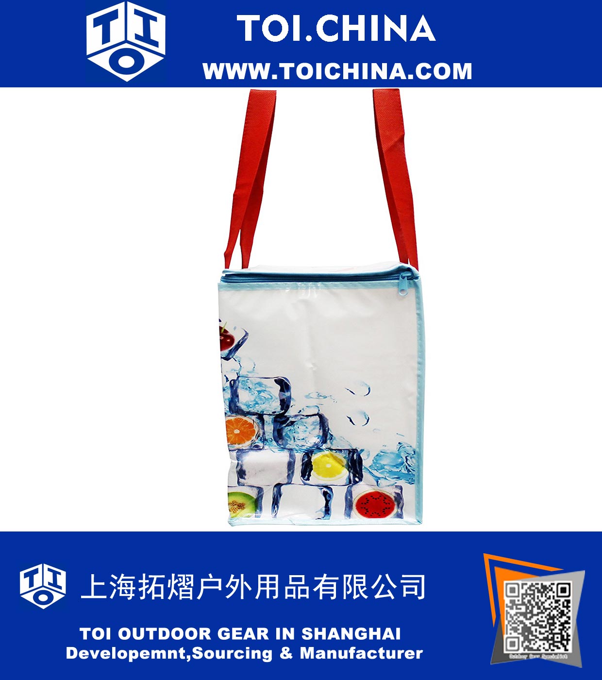 Large Insulated Reusable Shopping Bag