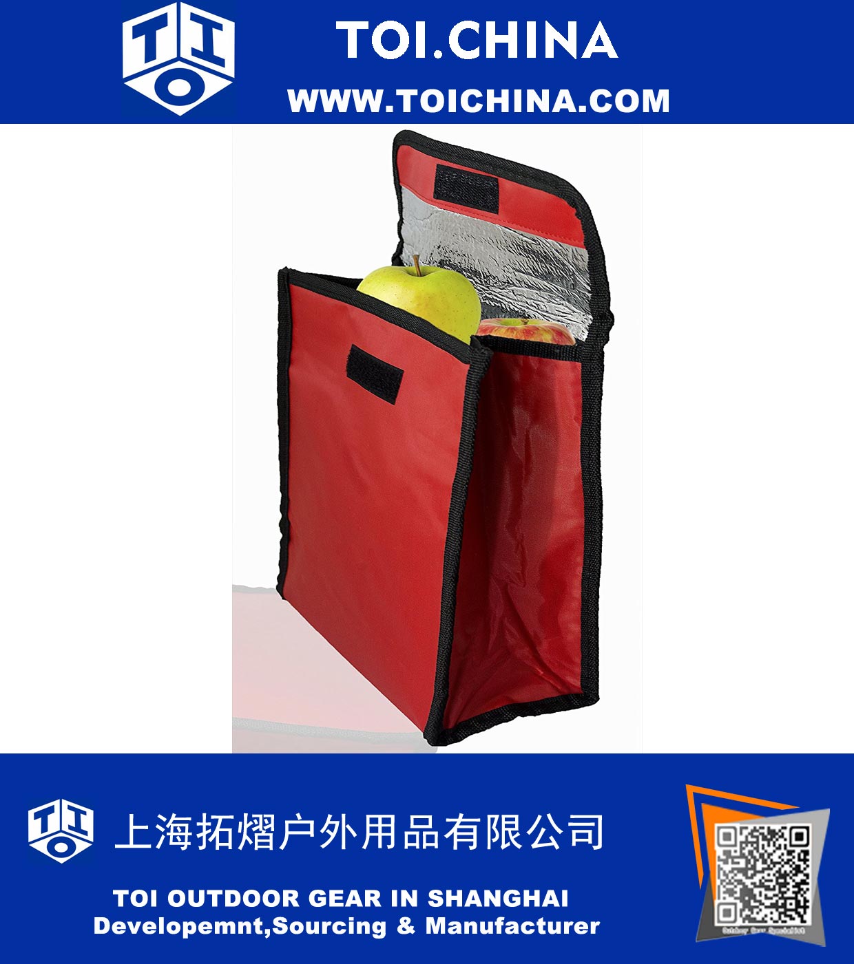 Insulated Lunch Tote Bag