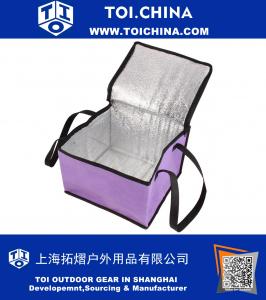 Picnic Travel Square Food Drink Milk Fruit Holder Warm Cooler Storage Tote Bag