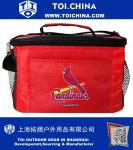 6 Pack Lunch Bag Cooler